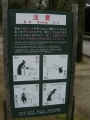 160130奈良公園、鹿注意の看板