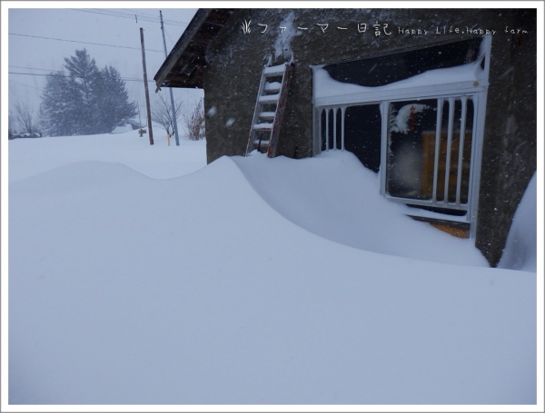 20150120大雪1