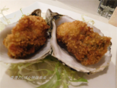 OPEN OYSTER1