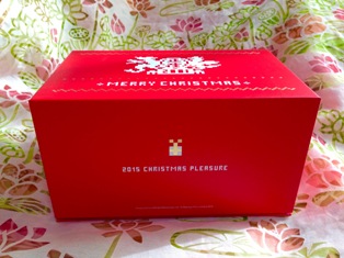 クリスマスの贈り物2015a