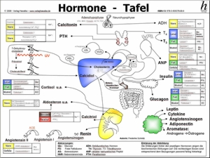 hormone-tafel-large.jpg