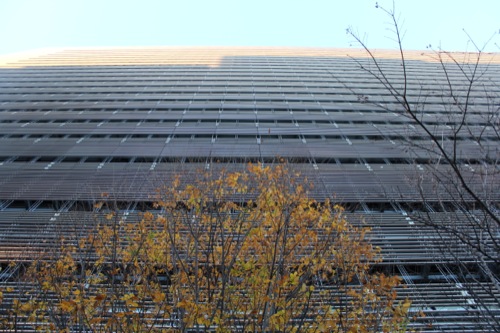 0048：ソニーシティー大崎 ビルの影が投影される北東ファサード
