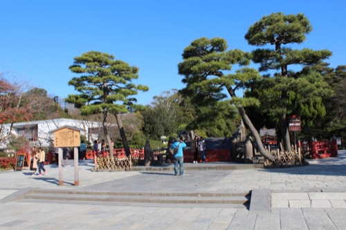 0050：神奈川県立近代美術館鎌倉館 鶴岡八幡宮（左に美術館）