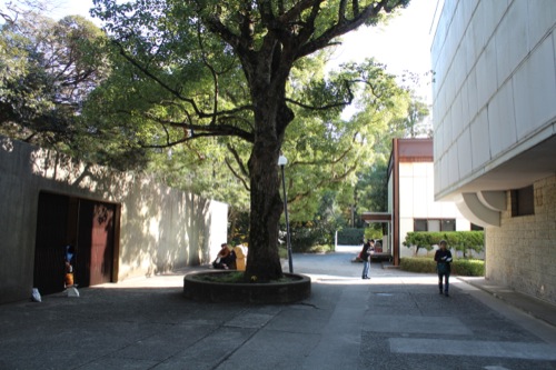 0050：神奈川県立近代美術館鎌倉館 左に学芸員棟 右に本館 奥に新館