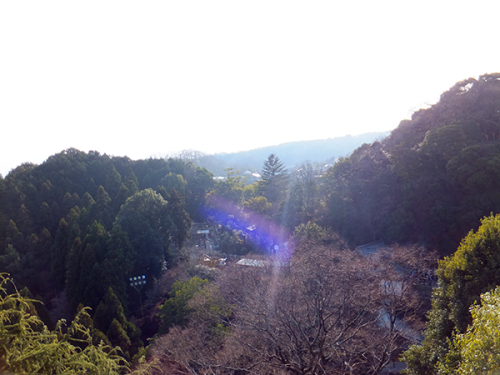 奈良20160102_46