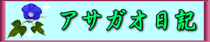 asagao-nokki-logo.gif