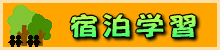 shukuhakugakushuu-logo.gif